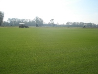 miniature/coltivazione