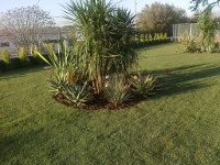 miniature/scalinata3